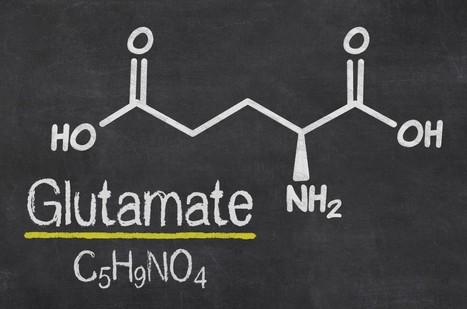 Le Glutamate monosodique : un produit hautement toxique présent