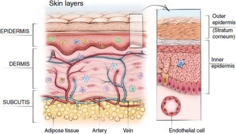 Recent advances in transdermal drug delivery systems | Intra-Dermal drug delivery: Opportunities and Challenges? | Scoop.it