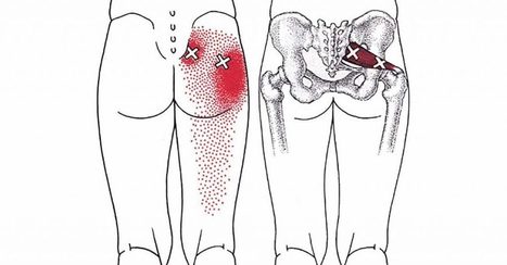 10 Piriformis Stretches To Help You Get Rid Of Sciatica, Hip And Lower Back Pain | Eco-Friendly Lifestyle | Scoop.it