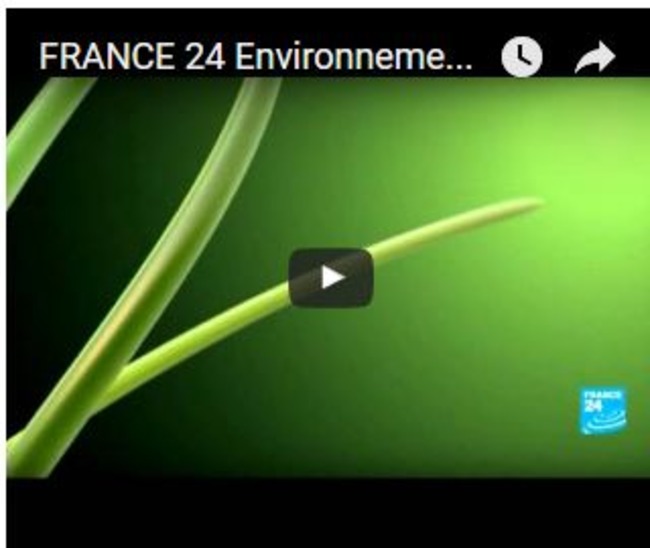 Compréhension orale : L'environnement (France 24 03/12/2012) | POURQUOI PAS... EN FRANÇAIS ? | Scoop.it