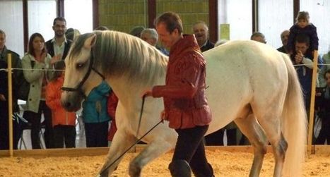 Laurent Douziech et Patrick Jullien à l'affiche du spectacle | Salon du Cheval | Scoop.it