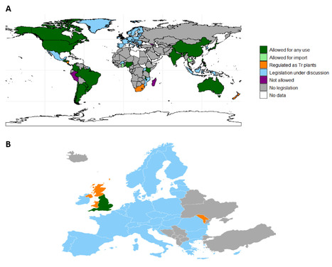 Situation mondiale en mati&egrave;re de r&eacute;glementation sur l'&eacute;dition g&eacute;nomique et la transg&eacute;n&egrave;se des plantes | Life Sciences Universit&eacute; Paris-Saclay | Scoop.it