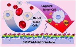 A blood cell repelling and tumor cell capturing surface for high-purity enrichment of circulating tumor cells - Journal of Materials Chemistry B (RSC Publishing) | from Flow Cytometry to Cytomics | Scoop.it