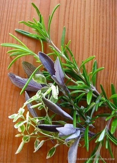 The Gardener's Eden - Preserving the Harvest: Fresh-Frozen Herbs in Oil, Butter, Broth or Water&hellip; | Really interesting recipes | Scoop.it