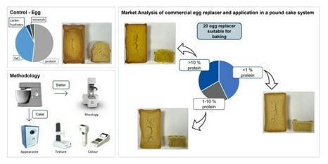 Commercial Egg Replacers in Pound Cake Systems: A Comprehensive Analysis of Market Trends and Application | Foods 2024; 13(2):292 | IPCI : Ingénierie de Produits à l'interface Cuisine-Industrie | Scoop.it