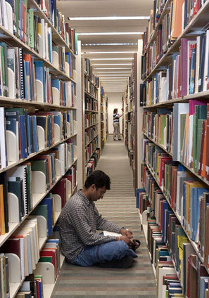 University Libraries plans fall launch of course to boost students’ information literacy skills | NIU Today | Information and digital literacy in education via the digital path | Scoop.it