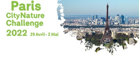 BioBlitz 2022 à Paris avec iNaturalist dans le cadre du Défi Nature Urbaine (City Nature Challenge) : le bilan | Variétés entomologiques | Scoop.it
