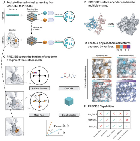 Learning a PRECISE language for small-molecule binding | brvai | RMH | Scoop.it