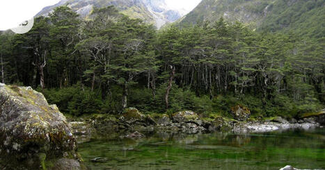 Vieraslaji uhkaa samentaa maailman kirkasvetisimmän järven | HS.fi | 1Uutiset - Lukemisen tähden | Scoop.it