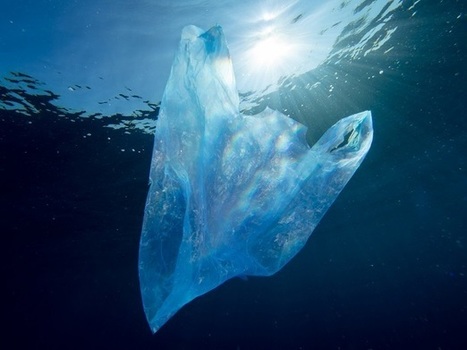 Des déchets plastiques qui disparaissent dans l'océan ? | Toxique, soyons vigilant ! | Scoop.it