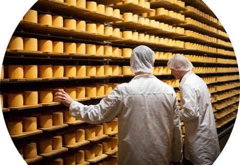 Le fromage suisse n’arrive plus à rivaliser avec l’étranger | Lait de Normandie... et d'ailleurs | Scoop.it