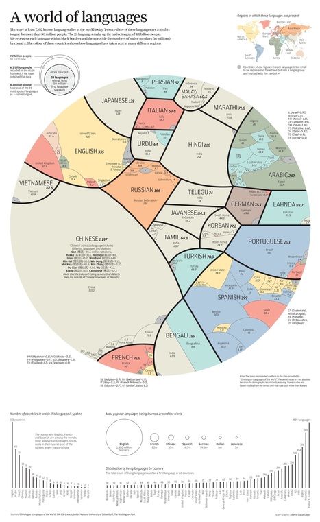 Pie Chart of the World’s Most Spoken Languages | Into the Driver's Seat | Scoop.it