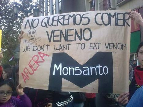 Monsanto se disfraza con otros nombres. Tiene “empresas” vendedoras de semillas transgénicas ¡Descúbrelas! | PIENSA en VERDE | Scoop.it