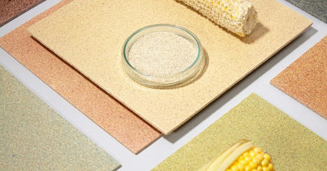 Transformer les d&eacute;chets de ma&iuml;s en un mat&eacute;riau biosourc&eacute; innovant | Mat&eacute;riaux recycl&eacute;s, g&eacute;o et bio-sourc&eacute;s en r&eacute;gions m&eacute;diterran&eacute;enne et alpine | Scoop.it