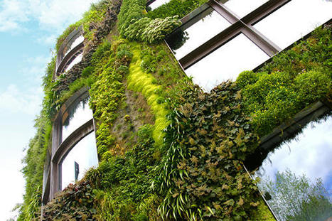 Dix conseils pour favoriser la biodiversité des murs | Veille "Villes de demain" | Scoop.it