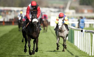 Big Buck's could face 11 as he bids for win 17 - Horse Racing News | Racing Post | Racing News | Scoop.it