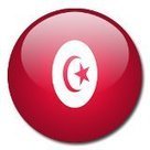 Gaz de schistes en Tunisie et permis « Shell » communiqué du G.I.E.S.T | Actualités Afrique | Scoop.it