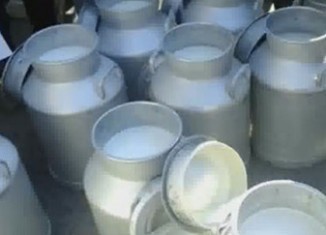 Tunisie-Filière du lait : les producteurs ne ramassent pas la gamelle ! | Lait de Normandie... et d'ailleurs | Scoop.it