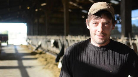Manque de fourrage : il mise sur le sorgho en d&eacute;rob&eacute;e apr&egrave;s la moisson | SCIENCES DE L' ANIMAL | Scoop.it