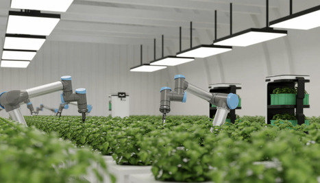 AI: China, U.S. and Australia emerge as central hub of smart agriculture  | INNOVATIONS | Scoop.it