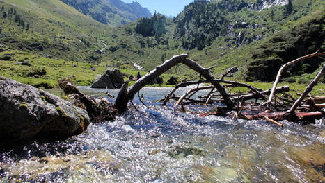 Hautes-Pyrénées : "comme une brève explosion", un séisme de magnitude 3,2 enregistré dans le Val d'Azun ce lundi | Vallées d'Aure & Louron - Pyrénées | Scoop.it