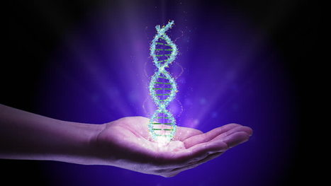 Key gene found to prevent muscle breakdown in muscular dystrophy | Genetic Engineering in the Press by GEG | Scoop.it