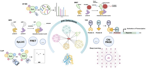 AI for plant protein&ndash;protein interactions prediction | tpj | RMH | Scoop.it