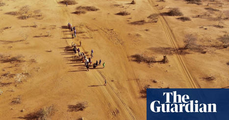 Return of El Niño raises risk of hunger, drought and malaria, scientists warn - The Guardian | COVID-19 : Le Jour d'après et la biodiversité | Scoop.it