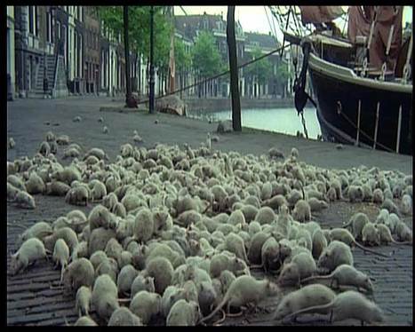 Pour les collaborateurs des ministres, l'heure est au recasage | Chronique des Droits de l'Homme | Scoop.it