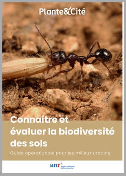 Connaitre et &eacute;valuer la biodiversit&eacute; des sols. Guide op&eacute;rationnel pour les milieux urbains | Plante et Cit&eacute; | La SELECTION du Web | CAUE des Vosges - www.caue88.com | Scoop.it