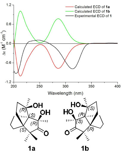 Dichrocephones A and B, Two Cytotoxic Sesquiterpenoids with the Unique [3.3.3] Propellane Nucleus Skeleton from Dichrocephala benthamii C. B. Clarke | Natural Products Chemistry Breaking News | Scoop.it