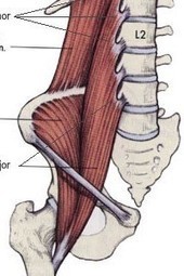 Why Leg Raises Hurt Your Back [Abdominals] - Fitness.com | Bodybuilding & Fitness | Scoop.it