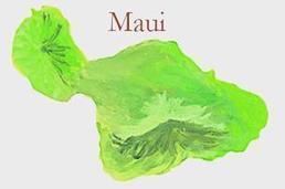 Maui plans to replace streetlights with LED lighting - Pacific Business News (Honolulu) | LIGHTING-Innovation-Design | Scoop.it