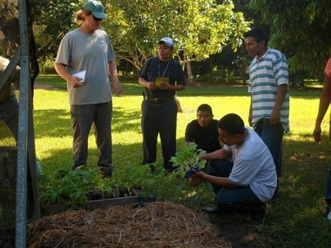 BBG Having Second Gardener Class | Cayo Scoop!  The Ecology of Cayo Culture | Scoop.it