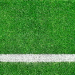 Return on Intangibles - Chief Learning Officer, Solutions for Enterprise Productivity | Learning and Working | Scoop.it