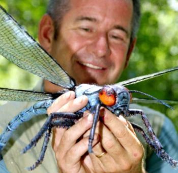 El gigantismo en insectos e inversión en tráqueas | El Blog de Evolutionibus | Bichos en Clase | Scoop.it
