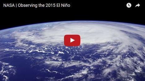 Un hiver El Niño se prépare | Agence Science-Presse | EntomoNews | Scoop.it