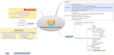 Différentes structures dans une carte XMind : exemple d'un participant à ma formation | Innovation sociale | Scoop.it
