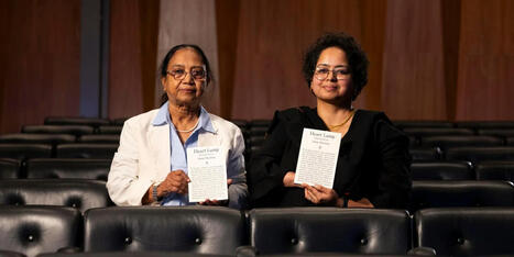 Heart Lamp de Banu Mushtaq remporte l’International Booker Prize 2025 | Metaglossia: The Translation World | Scoop.it