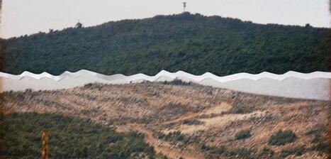 Scorched Earth, green cover: Hezbollah&rsquo;s ecology of war in south LEBANON | CIHEAM Press Review | Scoop.it