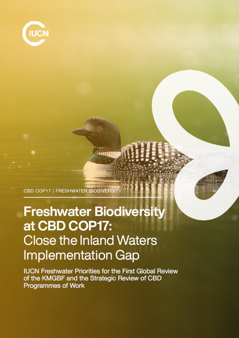 Biodiversit&eacute; des eaux douces &agrave; la COP17 de la CDB&nbsp;: Combler le d&eacute;ficit de mise en &oelig;uvre concernant les eaux int&eacute;rieures - UICN | Biodiversit&eacute; | Scoop.it