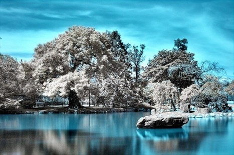 What is Infrared Photography? | Everything Photographic | Scoop.it