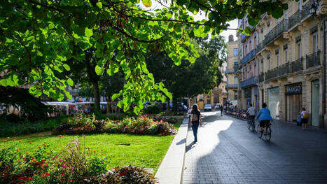 Faciliter le déploiement des solutions fondées sur la nature pour la gestion des eaux pluviales : le projet européen Greenstorm | Cerema | La SELECTION du Web | CAUE des Vosges - www.caue88.com | Scoop.it