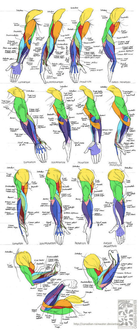 Featured image of post Female Arm Drawing Reference Female drawing human figure drawing drawing poses sketches figure drawing human figure anatomy drawing anatomy art body reference drawing