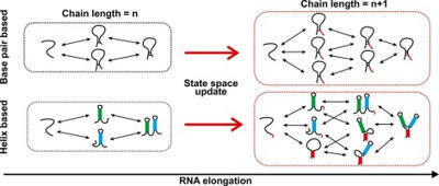 Computational Modeling of Cotranscriptional RNA Folding | csb | RMH | Scoop.it