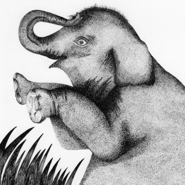 Laure Ploquin, zarza 2008 : Portfolio | L&rsquo;actu des zarzas | Scoop.it