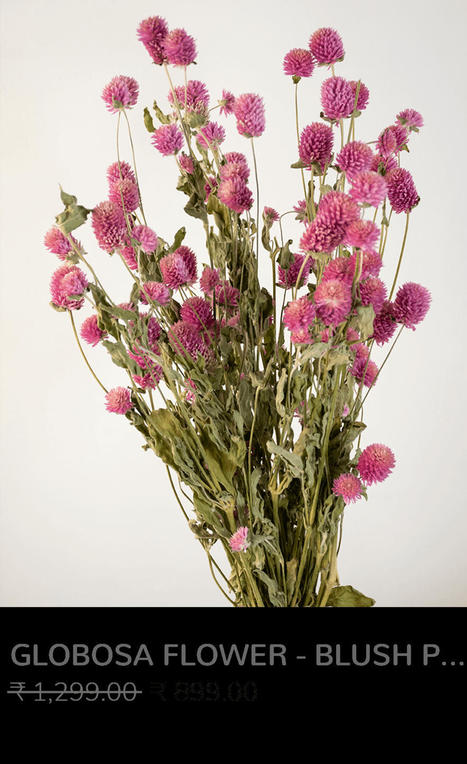 Beautiful Dried Flowers for Home Décor and Events | Whispering Homes | Home Decor Items and Accessories | Scoop.it