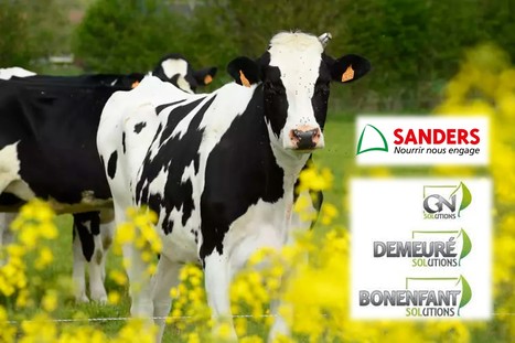 Sanders et Gaudin Solutions lancent Sol’Eil pour l’alimentation des ruminants | Lait de Normandie... et d'ailleurs | Scoop.it