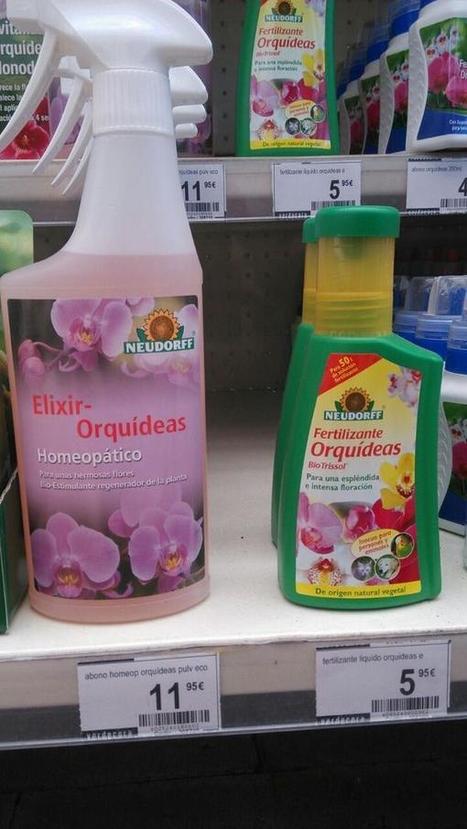 Una noche de borrachera...bajo el mar | Escepticismo y pensamiento cr&iacute;tico | Scoop.it