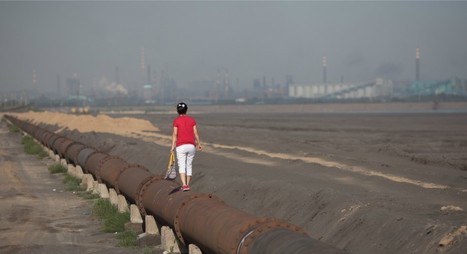 Un livre révèle “la plus fantastique opération de greenwashing de l’histoire” | Nouveaux paradigmes | Scoop.it